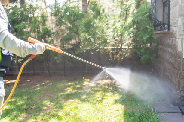 Best Pest Removal Services  in Riner, VA