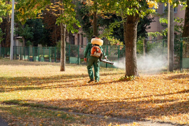Best Bed Bug Extermination  in Riner, VA